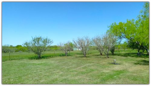 Freedom RV Resort (Members Clothing Optional) RV park in Pleasanton, TX (photo 2)